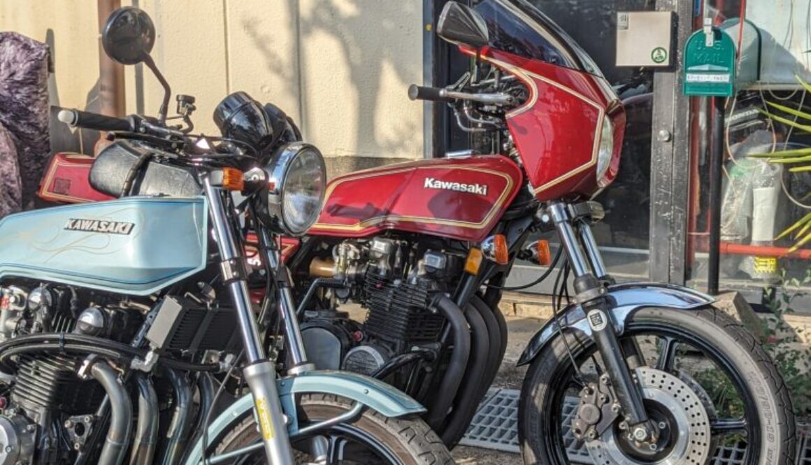 PXL_20230801_075803823.PORTRAIT