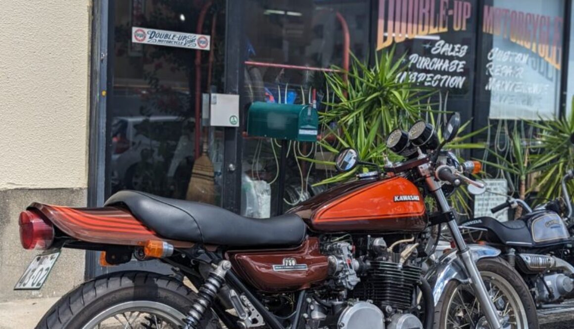 PXL_20230805_045121101.PORTRAIT