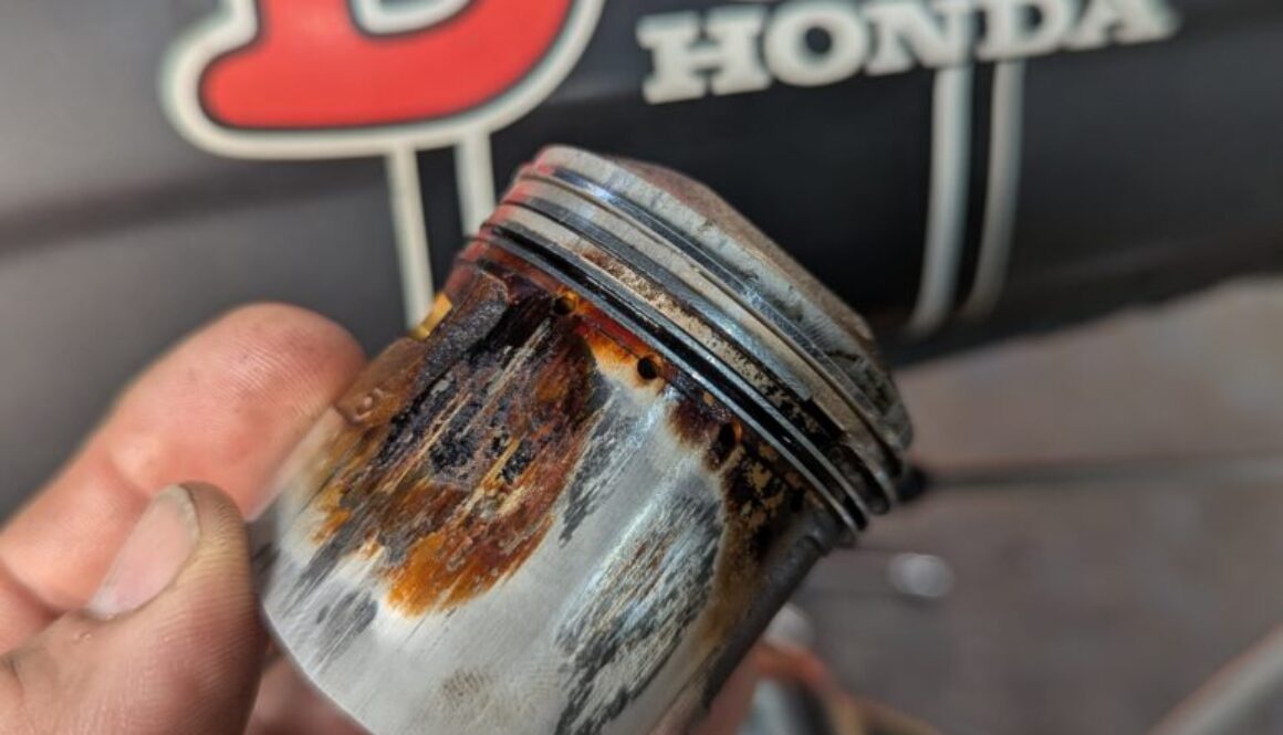 PXL_20251210_063603911