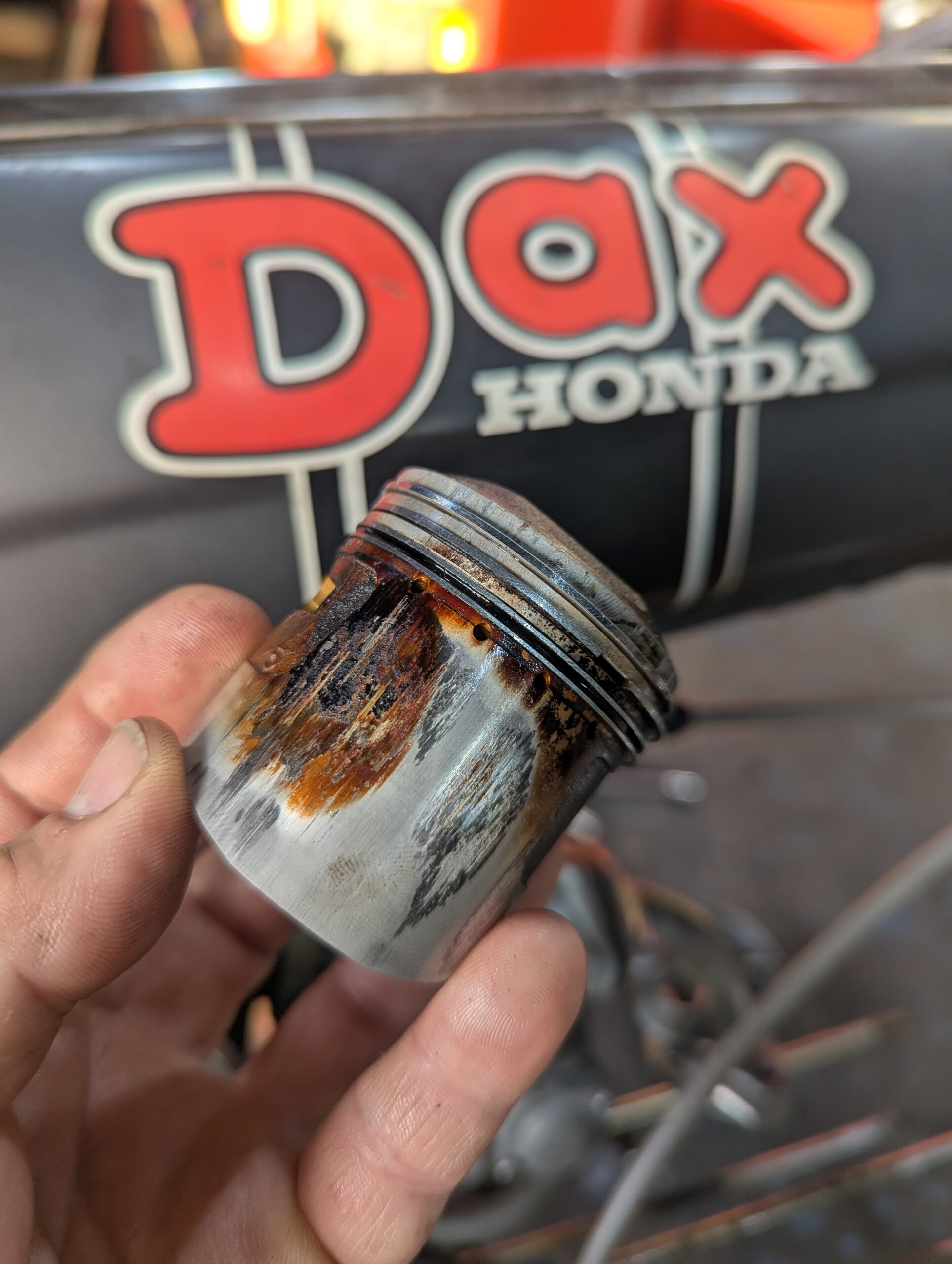 PXL_20251210_063603911