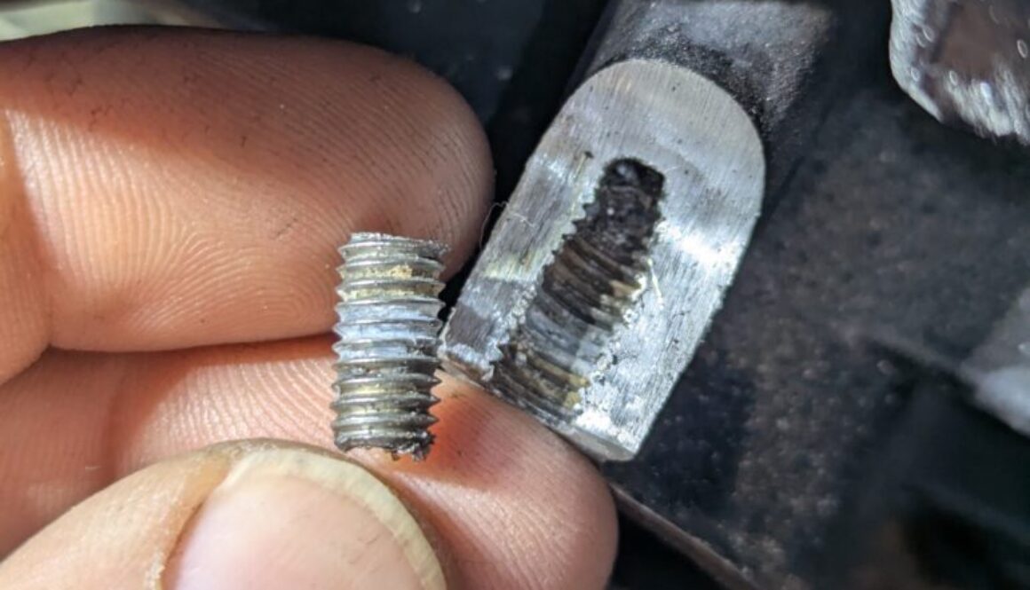 PXL_20260129_061324437