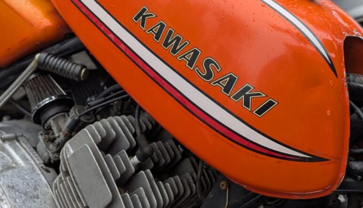 PXL_20260227_075855977.PORTRAIT